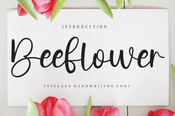 Beeflower Script Font for Modern Web Design