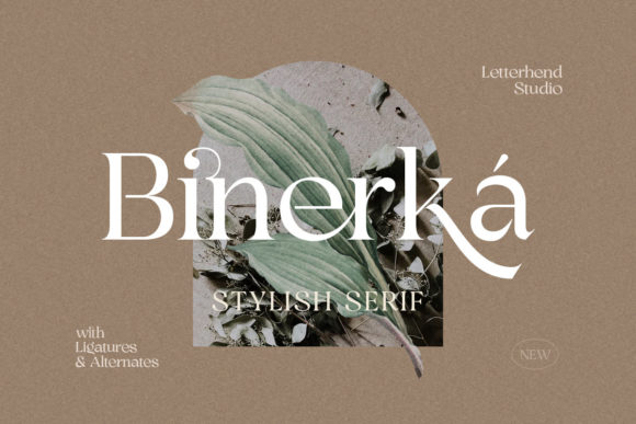 Binerka Serif Font: A Handmade Seller’s Secret for Elevated Product Design