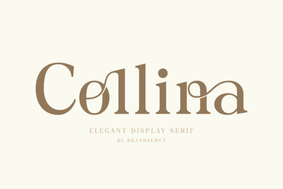 Collina Font Review: A Refined Serif for Modern Branding