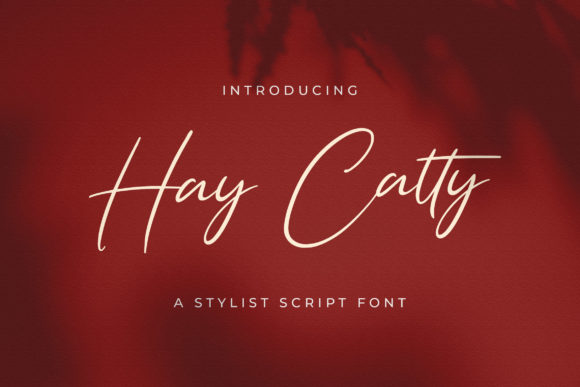 Hay Catty: A Refined Script Font for Modern Brand Storytelling