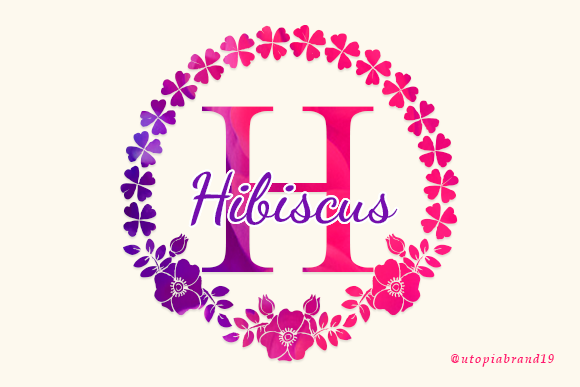 Hibiscus Monogram A Decorative Font for Brand Charm