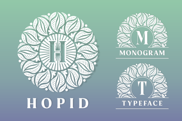 How Hopid Transformed My Blog's Editorial Voice