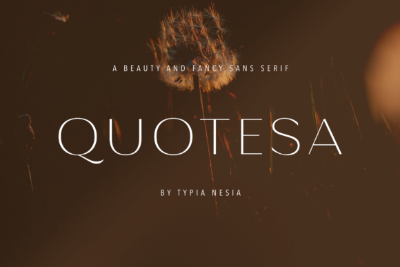 How Quotesa Gave My Small Brand a Polished New Look