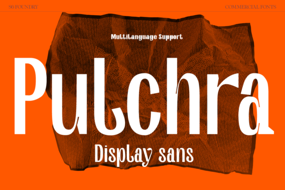 Pulchra Sans Serif Font: A Web Designer’s Test in Modern Brand Layouts